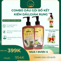 Combo Dầu gội đầu thảo dược thiên nhiên tinh chất bồ kết sả chanh - Dầu xả bưởi dừa 250ml
