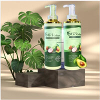 Combo Dầu Gội + Dầu Xả BƠ G63 COLLAGEN (900ml/chai) Chiết Xuất Bơ Giúp Chống Lão Hóa Da Đầu