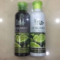 Combo dầu gội+ dầu xã Thái Lan BERGAMOT hương chanh