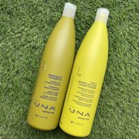 Combo dầu gội ngăn ngừa Gàu và xả làm sạch   da đầu dầu Anti Dandruff Rolland Una 1000mlx2