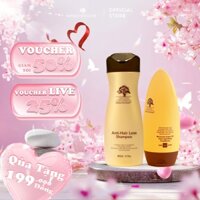 Combo dầu gội ngừa rụng tóc, kích thích mọc tóc hỗ trợ dày tóc (300ml) và dầu xả siêu dưỡng ẩm Arganmidas  (200ml)