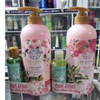 combo dầu gội purité by provence rose & olive normal hair