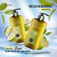 Combo dầu gội xả BƯỞI - dành cho tóc gãy rụng - HACHI VIETNAM ®