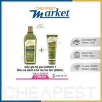 Combo Dầu Gội Xả Dành Cho Tóc Gàu Hư Tổn D'Olive Dalan
