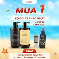 Combo Dầu Gội Xả Herbal Shamboo PIZKIE 500ML Kích Thích Mọc Tóc, Sạch Gàu, Giúp Tóc Chắc Khoẻ