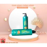 Combo Dầu Gội Xả Phục Hồi Dành Cho Tóc Hư Tổn Nặng Wellmate 500mlx2