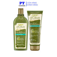 Combo Dầu Gội Xả Tinh Dầu Oliu Dalan D'Olive Dành Cho Tóc Mỏng Yếu
