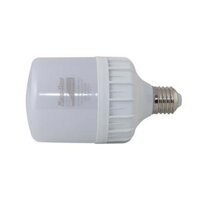 Combo đèn Led 30W Rạng Đông Model LED TR100N130W - 3 cái , 3 cái