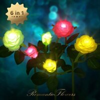 Combo Đèn Led Năng Lượng Mặt Trời Hình Hoa Hồng trang trí sân vườn