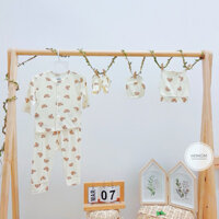 Combo Đi Sinh Cho Bé - Phụ Kiện Set 4 Món : Bộ Quần Áo Dài Tay + Set  Mũ Bao Tay Bao Chân.Chất Pettit Túi Lưới Cho Bé