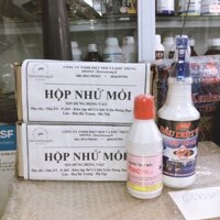 COMBO DIỆT MỐI - 2 hộp nhử + 1pmc + 1 dầu mối Sifa ''