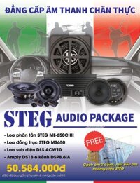 Combo Độ Loa STEG AUDIO PACKAGE(+Amly DS18+Loa ME-650C lll+Loa MS650+Sub điện DLS ACW10)