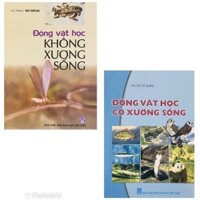 Combo Đông Vât Hoc Không Xương Sông  Đông Vât Hoc Co Xương Sông