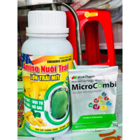 COMBO DƯỠNG LỚN TRÁI MÍT XANH GAI NỞ GAI DÙNG CHO PHUY 200L