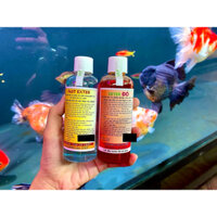 Combo Exter đỏ & Fast xanh cho cá vàng, cầu vồng, chép phi tần