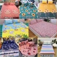 Combo Ga giường và 2 vỏ gối cotton Poly bộ ga trải giường thun drap chun nhiều mẫu lựa chọn