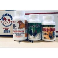 Combo Gallomin và Vitamin B15B12