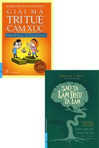 Combo Giải Mã Trí Tuệ Cảm Xúc  Sao Ta Làm Điều Ta Làm Bộ 2 Cuốn FN