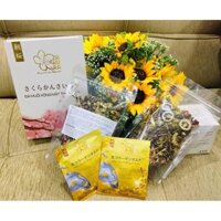 (combo giải nhiệt làn da mùa hè)Đá muối thảo dược xông mặt và mặt nạ collagen tươi Asa Zakura