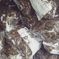 Combo: GIẢO CỔ LAM, CHÈ VẰNG GIẢM CÂN