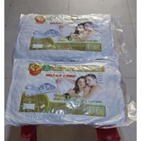 Combo gối nằm hơi bông gòn ép hoàng long (1 cặp)
