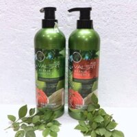 COMBO GỘI XẢ TINH DẦU BƯỞI 850ML