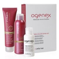 Combo gội xả và phục hồi tóc nhuộm OGENEX INEBRYA KIT 125ml
