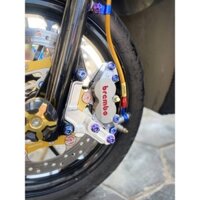 COMBO Heo Pát Đĩa VARIO/ VISION/ CLICK, mâm 4 lỗ_Heo REMBO 4pis, đĩa bremb0 oversize nút đỏ Kèm Pát_MS1