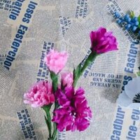 Combo hoa cẩm chướng giấy nhún