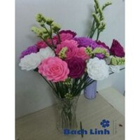 Combo hoa giấy nhún