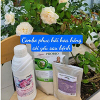COMBO HỒI PHỤC HOA HỒNG CÒI YẾU SAU BỆNH 1l Soymic hoa hồng,1 kg nén Probio,1 Trichoderma 200g