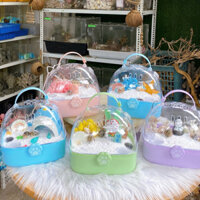 Combo HỘP DẤU CHÂN nuôi ốc mượn hồn, ốc rụt rè, dã tràng, cua ẩn sỉ, hermitcrab