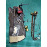 Combo huấn luyện chim săn mồi