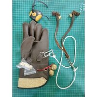 Combo huấn luyện chim săn mồi