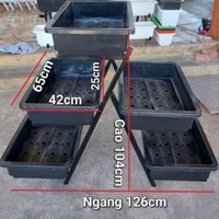 Combo Kệ rau 5 tầng + chậu, kệ trồng rau, kệ trồng hoa