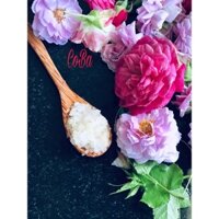 Combo kefir nước 8 món cho ng mới bắt đầu