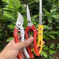 Combo Kéo Tỉa, Kéo Cắt Cành, Cưa Chuyên Dùng Để Làm Vườn, Chăm Sóc Cây Cảnh, Hàng Thép Nguyên Đúc Siêu Chắc Chắn