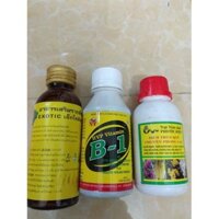 Combo kích rễ dưỡng cây Exotic - B1 HVP 100ml tặng chai dịch trùn quế chuyên phong lan 105ml