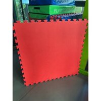 Combo Kiện ( 8 Miếng ) THẢM TẬP VÕ . Siêu Bền . Size 110cm