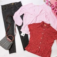 combo kiva trần