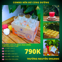 Combo Làm 144 Ly Hoa Mai 35ml; + 4kg Sáp Bơ, Tặng Tim Đèn, Keo Nến, Văn Khấn - Nguyên Liệu Làm Nến Bơ Cúng Dường