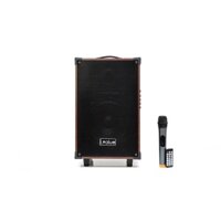 Combo Loa Bluetooth Karaoke I.value 10inch Gỗ + Mic không dây