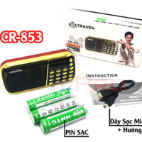 Combo Loa Đài Craven CR-853 / CR-836S"Điện Tử Phương Huy"