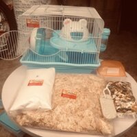 Combo: Lồng mèo to size 36x27x30cm + full đồ nuôi hamster