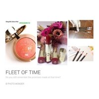 Combo Má hồng Milani,3 chì xé ,3 dưỡng môi,1 son Milani tone 06