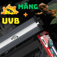 COMBO MÁNG + ĐÈN UVB TUÝP 21W,39W - 5.0/10.0 HẤP THỤ CANXI CHO BÒ SÁT,LEOPARD TORTOISE_NOMOY