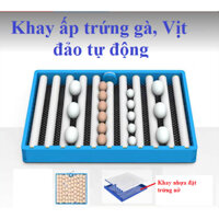 Combo máy ấp trứng gà mini đảo lăn tự động 28-35-70 trứng – Khay đảo trứng đa năng lắp thùng xốp