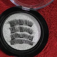 Combo mi nam châm 02-05-06