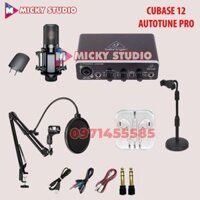 Combo Mic PC K850 Sourd Card Behringer UMC22