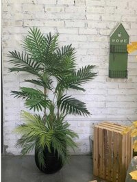 [Combo-mix] Cây Dừa Cảnh Giả Trang Trí Cửa Hàng, Studio, Tiệm Quán, Văn Phòng, Nhà Cửa – 1m15 – PN-CG100